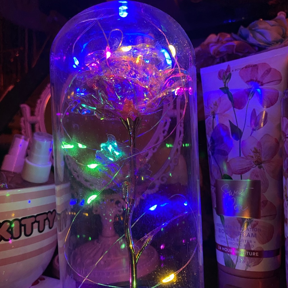 Eternal light up rose